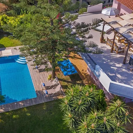 Anna's Brilliant In Willa Jalisos