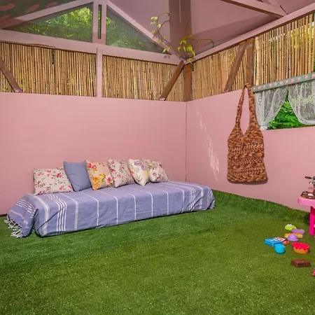 Anna's Brilliant In יאליסוס