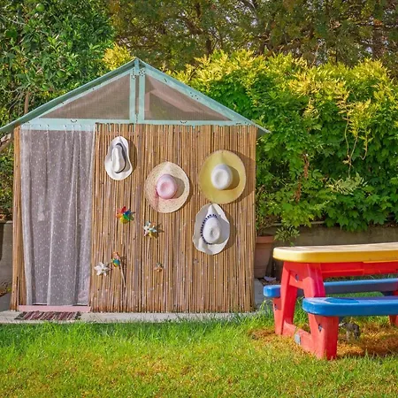 Anna's Brilliant In יאליסוס